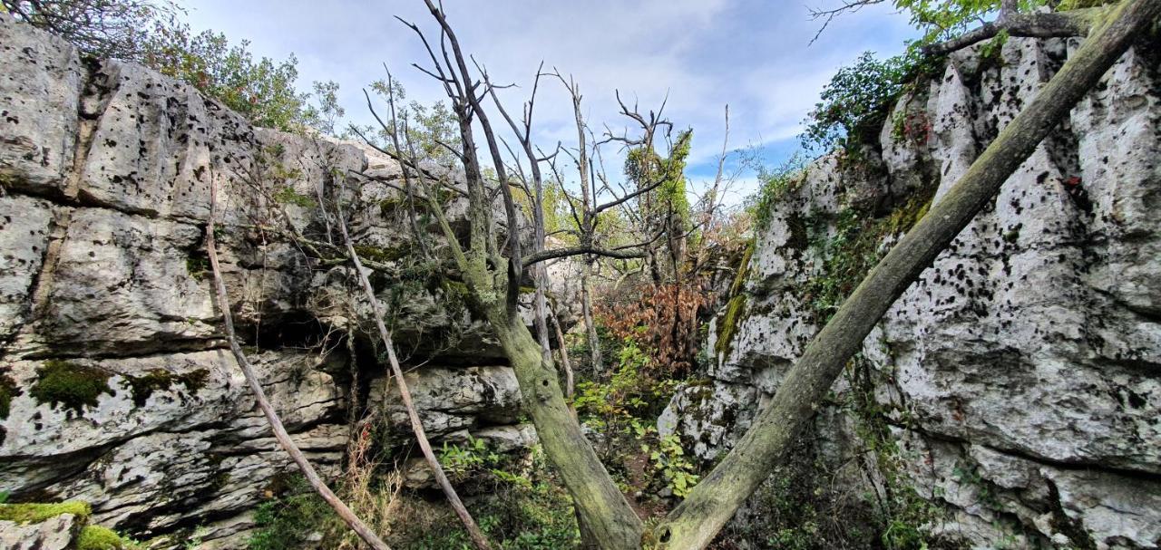 La Grange - Chez Gisi - Fuer Naturliebhaber, Abenteurer Und Geniesser Rocles (Ardeche) Exterior foto